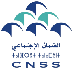 CNSS logo